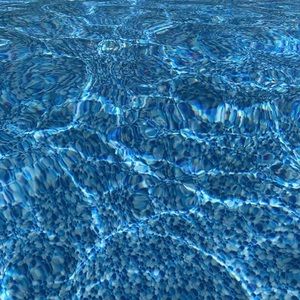 Meet your Posher, Rusty